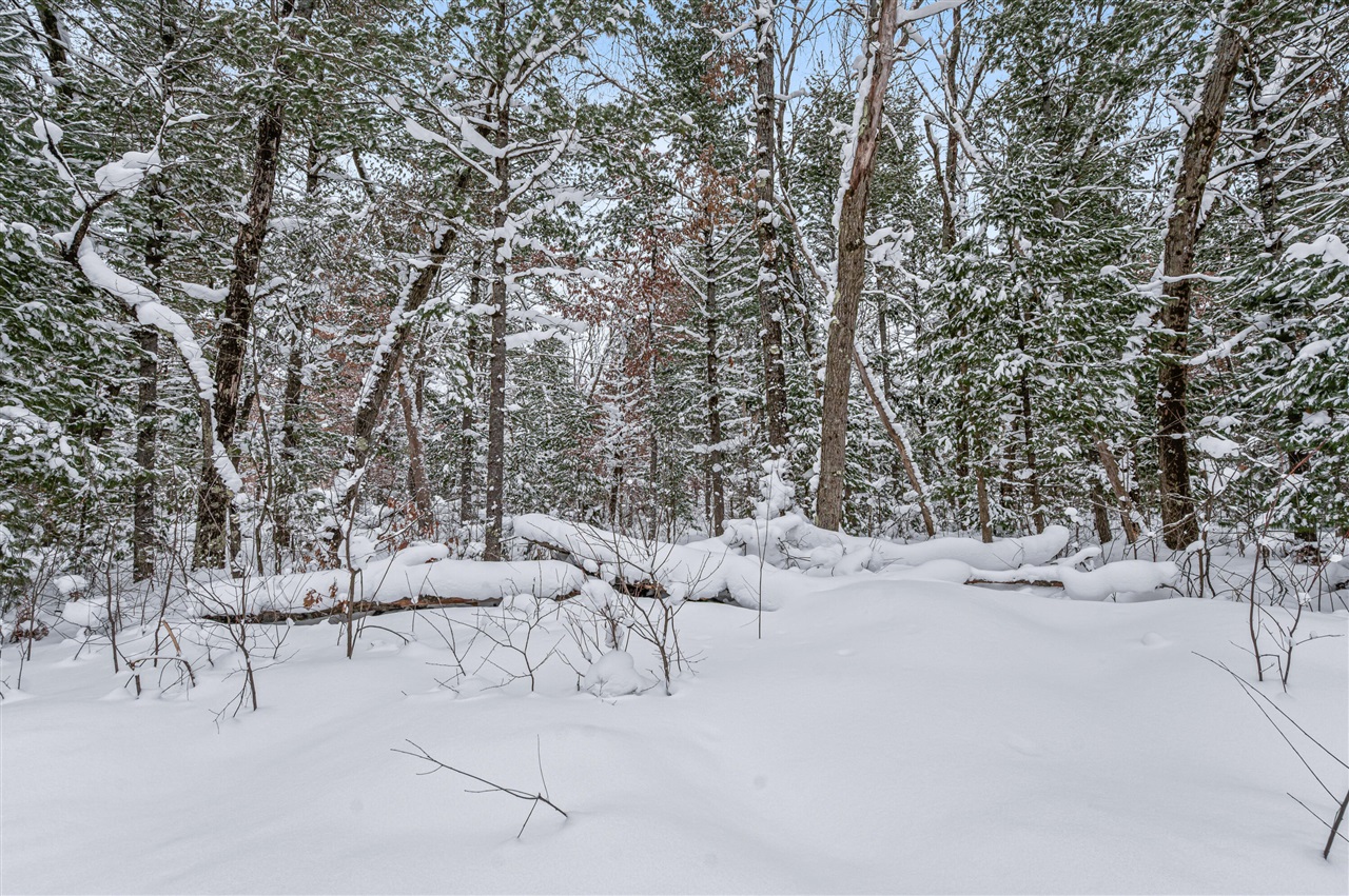 00 Bradby Blvd, Baldwin, MI, 49304