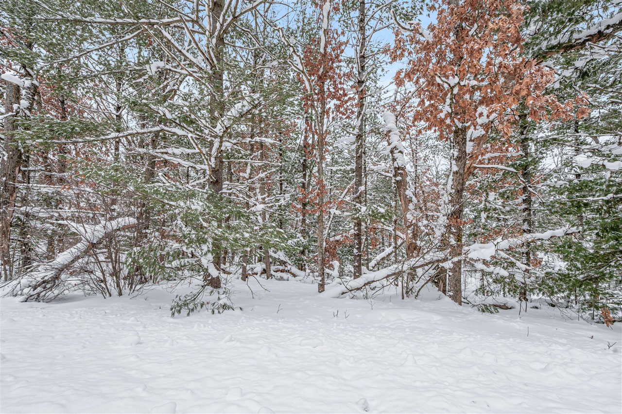 00 Bradby Blvd, Baldwin, MI, 49304