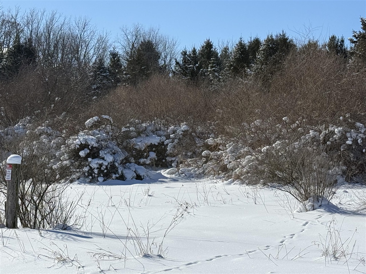 Homes for sale in Middleville, MI | 6800 W Barnum Rd, Middleville, MI 49333 | MLS# 70513297