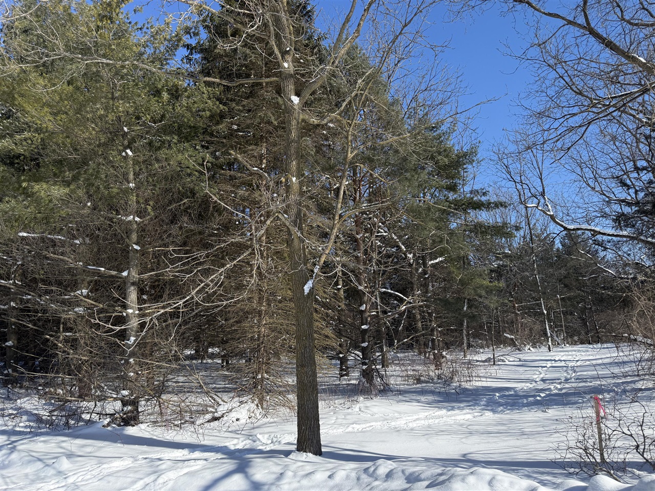 Homes for sale in Middleville, MI | 6800 W Barnum Rd, Middleville, MI 49333 | MLS# 70513297