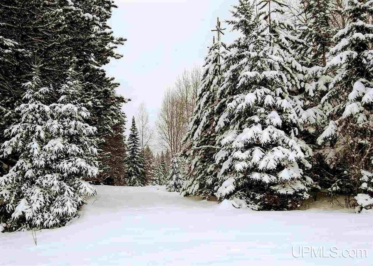 Homes for sale in Baraga, MI | 15169 Bellaire St, Baraga, MI 49908 | MLS# 70513360