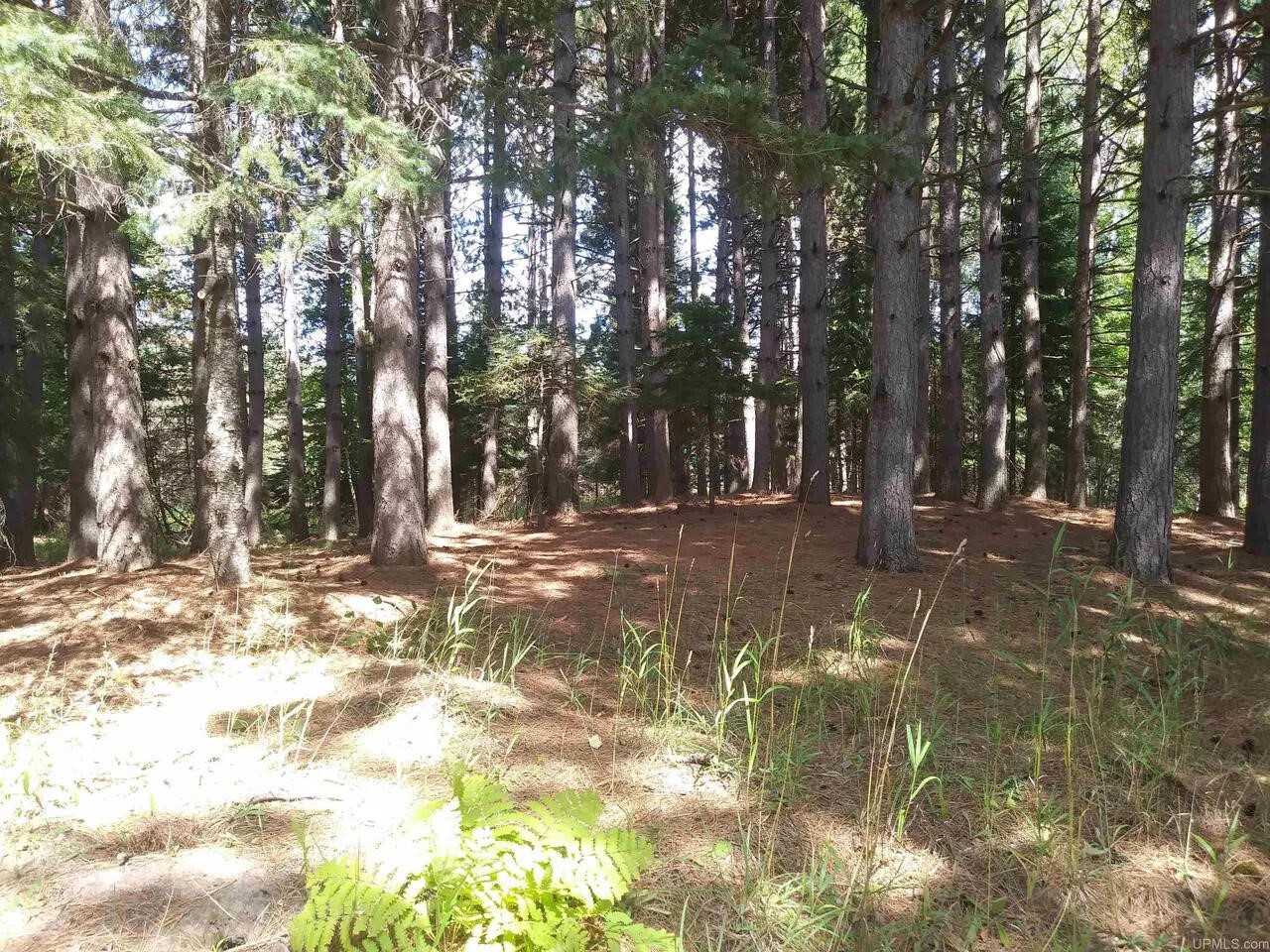 Homes for sale in Baraga, MI | 15169 Bellaire St, Baraga, MI 49908 | MLS# 70513360