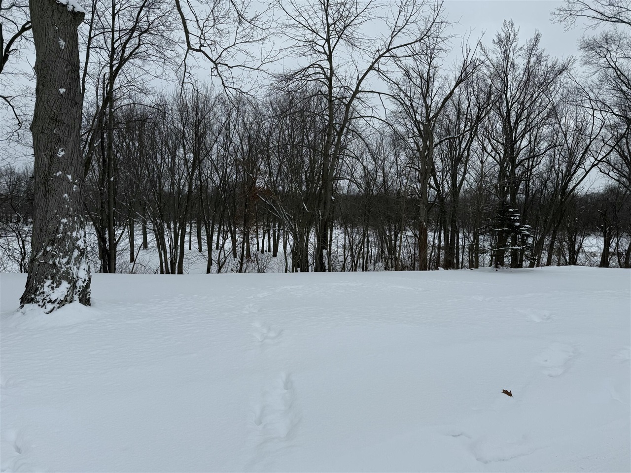 Homes for sale in Coopersville, MI | 5930 Grand Vista Dr, Coopersville, MI 49404 | MLS# 70513388