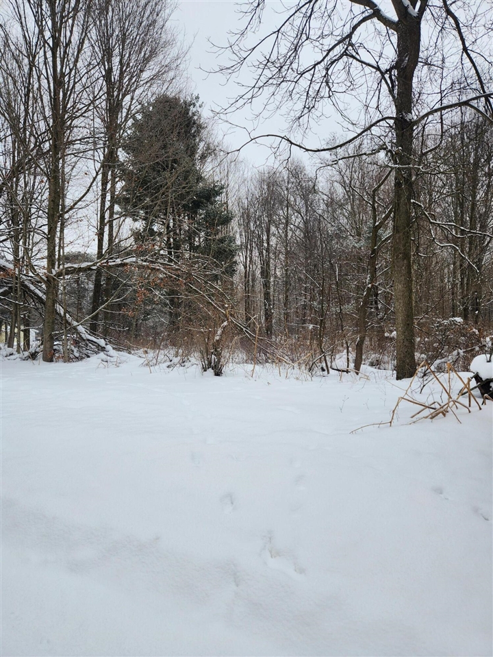 8694 W South County Line Road, Greenville, MI, 48838-9725