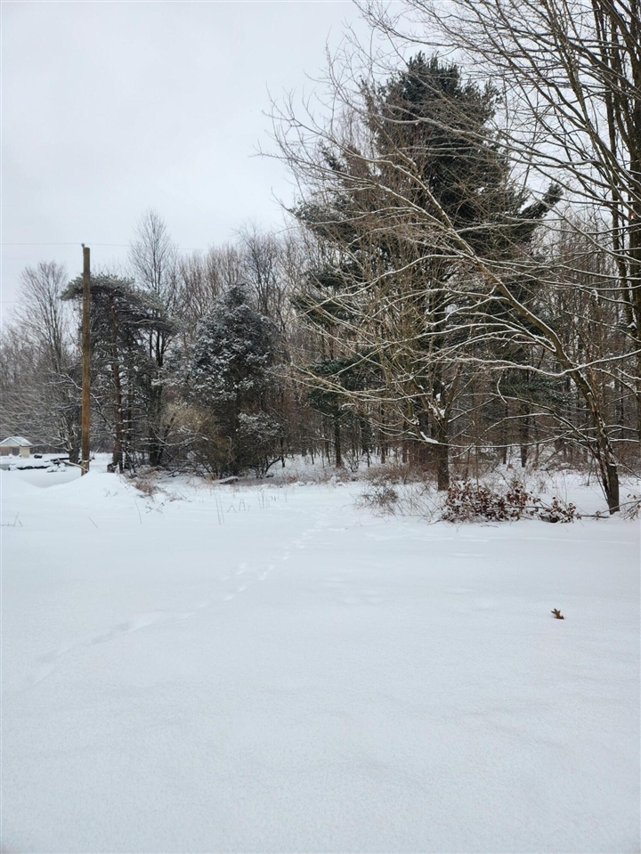 8694 W South County Line Road, Greenville, MI, 48838-9725