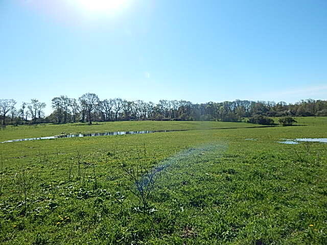 Homes for sale in Leonard, MI | 561 W Leonard Rd, Leonard, MI 48367 | MLS# 70513568