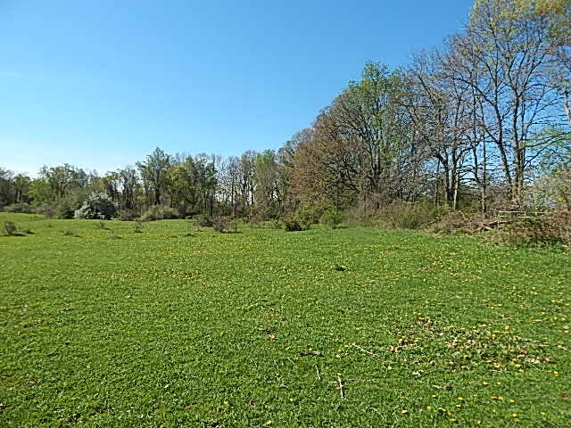 Homes for sale in Leonard, MI | 561 W Leonard Rd, Leonard, MI 48367 | MLS# 70513568