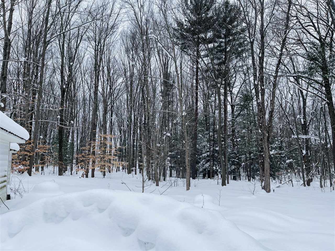 4899 N Ford Lake Road, Fountain, MI, 49410-8709