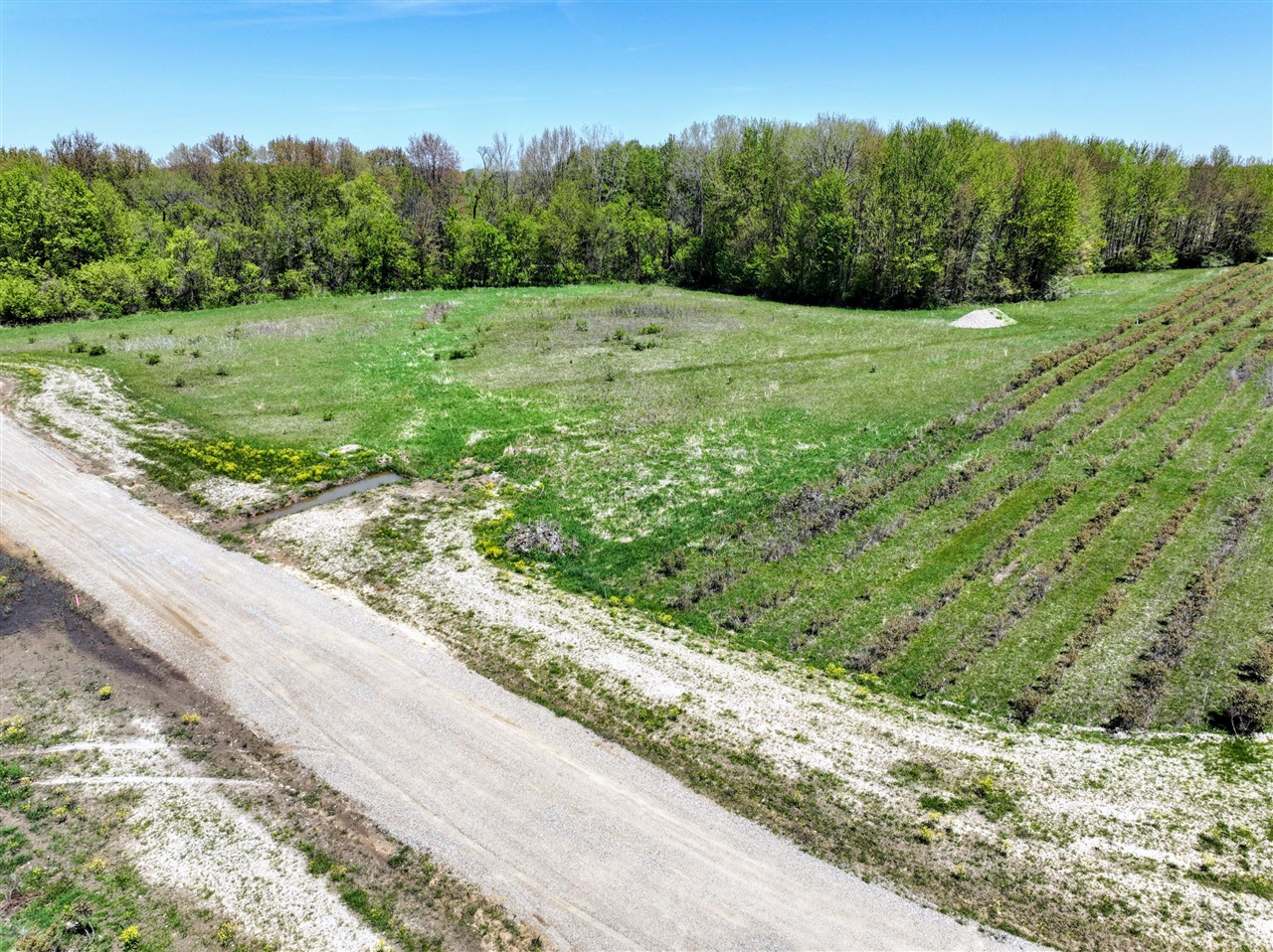 Homes for sale in Grand Junction, MI | Vl Vl 4th Ave & Benny Ct(private), Grand Junction, MI 49056 | MLS# 70513633