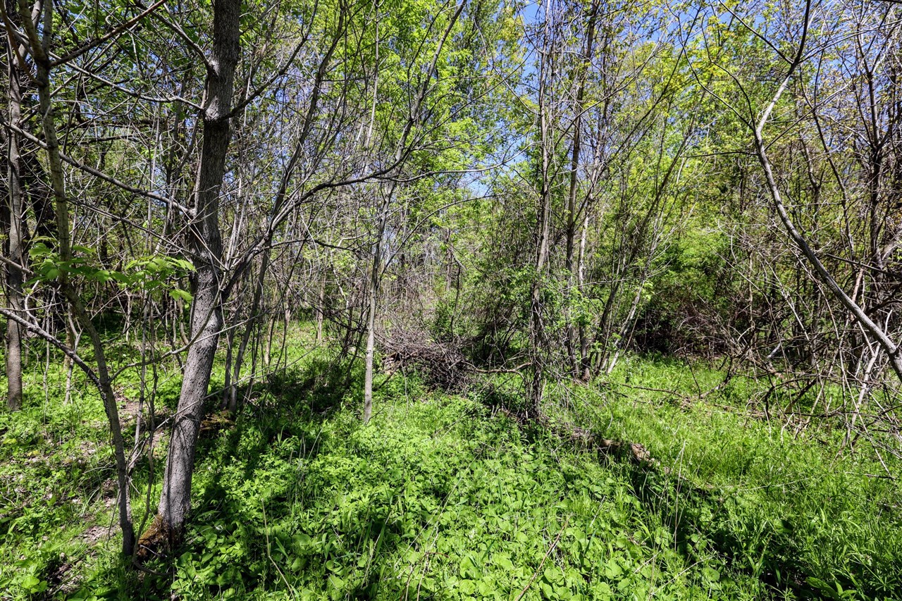 Homes for sale in Grand Junction, MI | Vl Vl 4th Ave & Benny Ct(private), Grand Junction, MI 49056 | MLS# 70513633