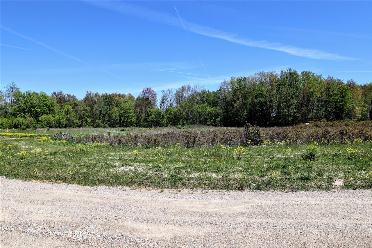 Homes for sale in Grand Junction, MI | Vl Vl 4Th Ave & Benny Ct(Private), Grand Junction, MI 49056 | MLS# 70513633