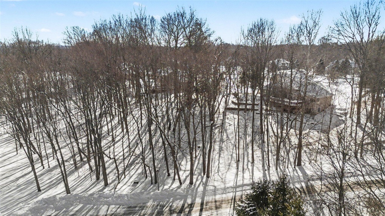 2348 Spring Arbor photo 14