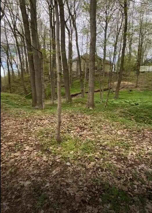 2348 Spring Arbor photo 4
