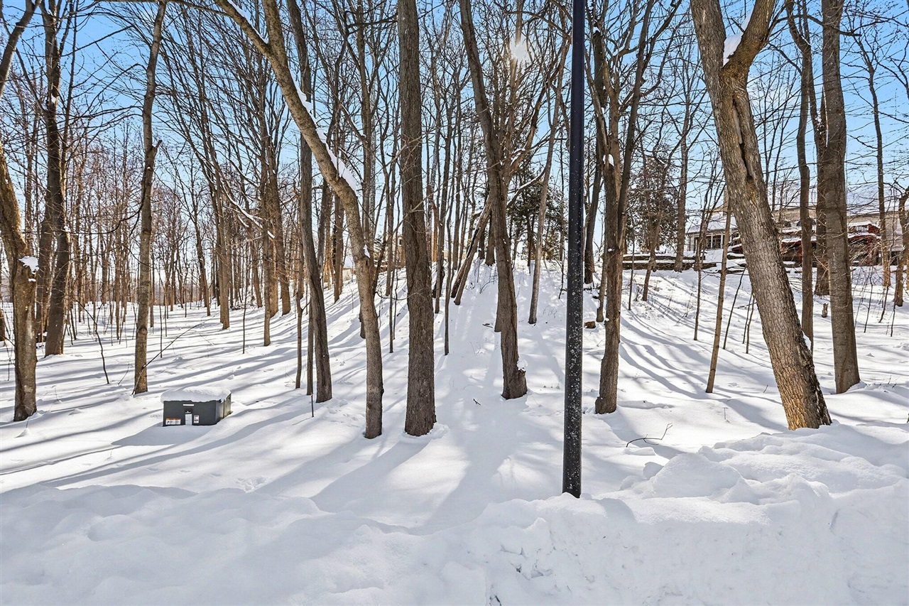 2348 Spring Arbor photo 9