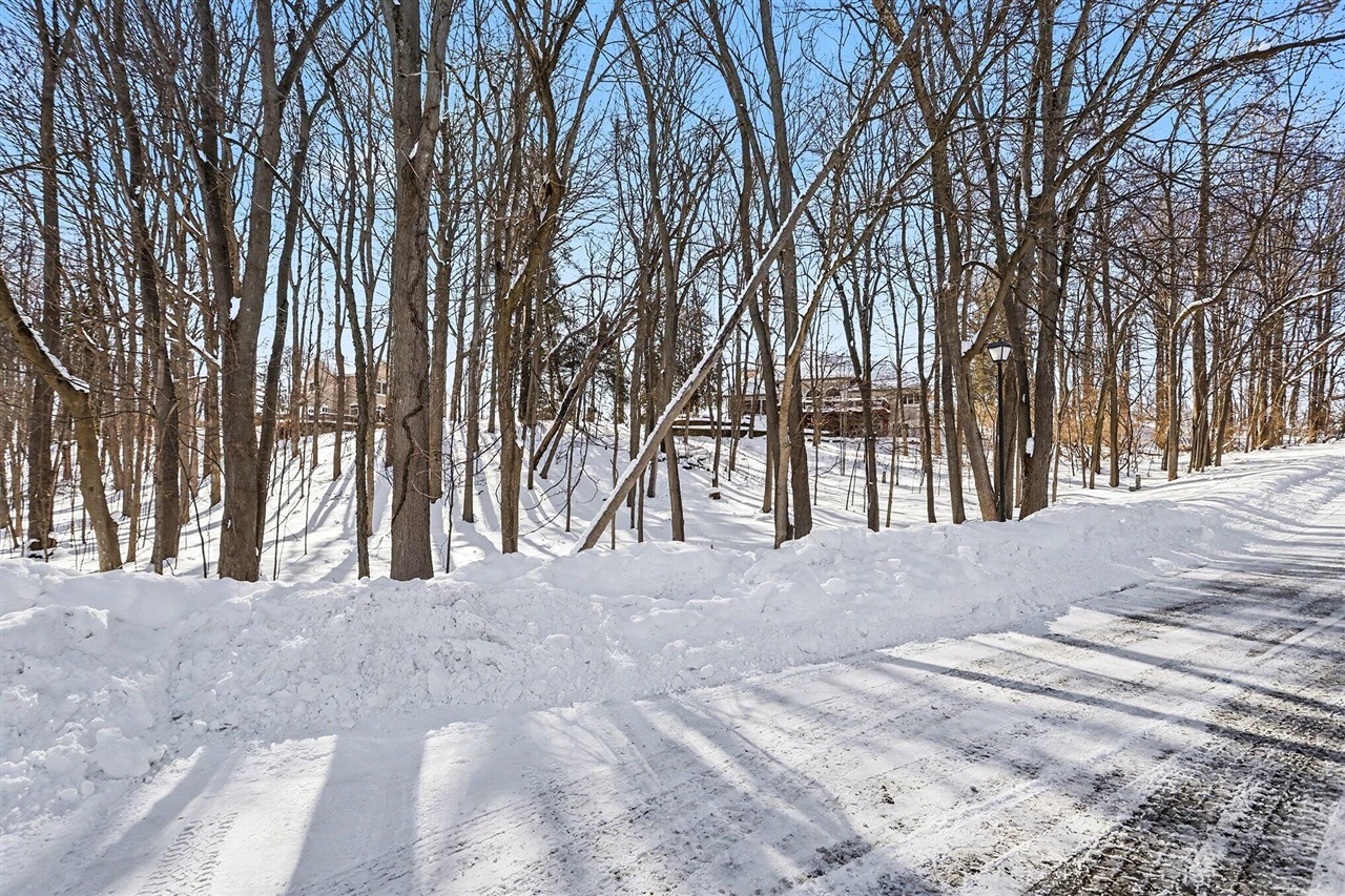 2348 Spring Arbor photo 10