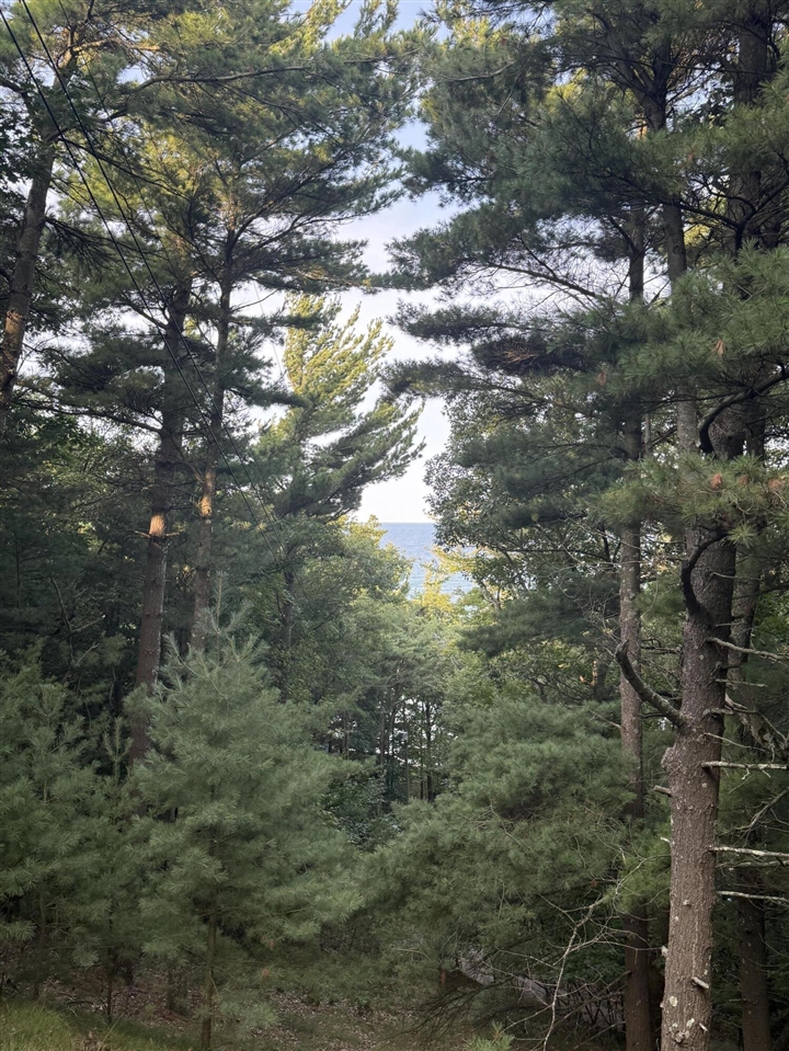 Homes for sale in Shelby, MI | Lot G Hemlock Trl, Shelby, MI 49455 | MLS# 70513697