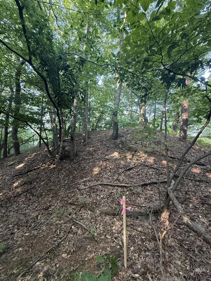 Homes for sale in Shelby, MI | Lot G Hemlock Trl, Shelby, MI 49455 | MLS# 70513697