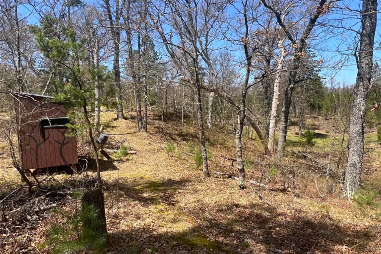 Homes for sale in Baldwin, MI | 1278 W Pine Tree Rd, Baldwin, MI 49304 | MLS# 70513704