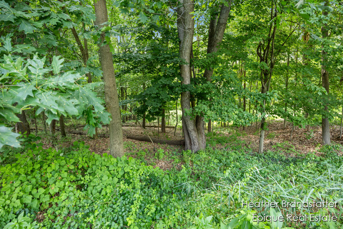 Homes for sale in Ada, MI | 7670 Wood Violet Ct, Ada, MI 49301 | MLS# 70513731