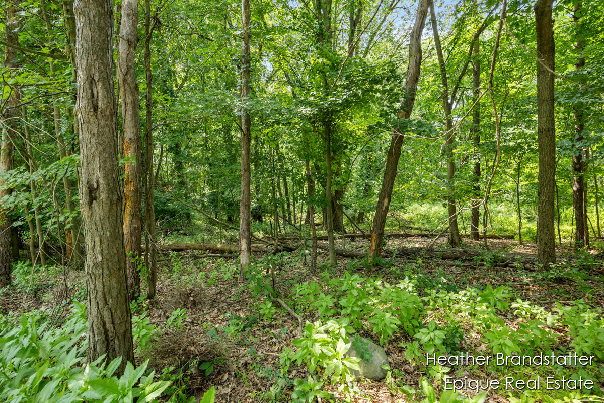 7670 Wood Violet Court photo 4