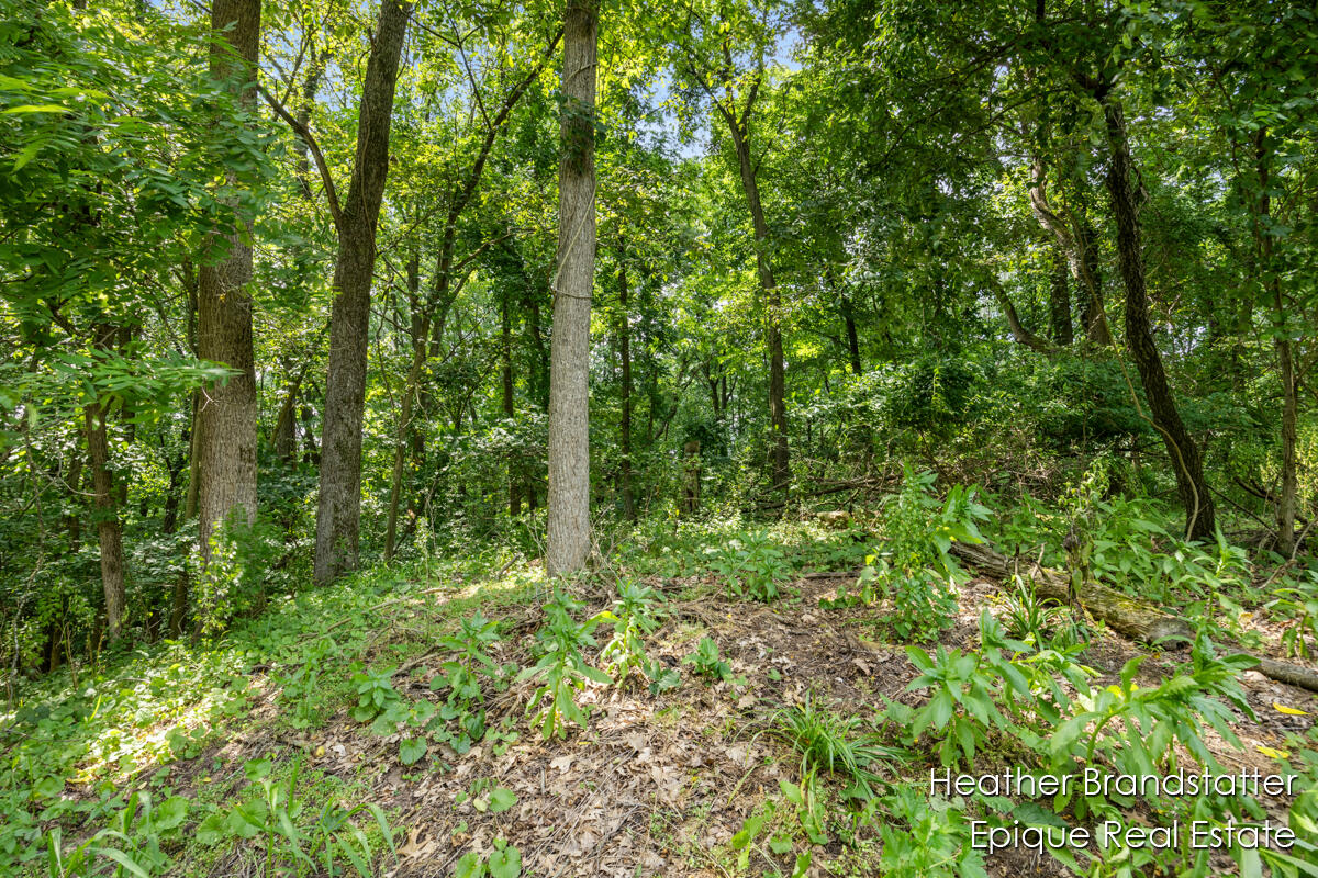 7670 Wood Violet Court photo 5