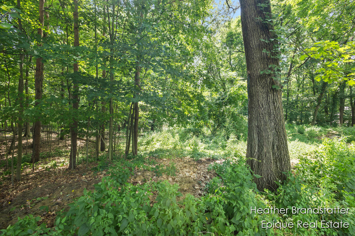 7670 Wood Violet Court photo 7
