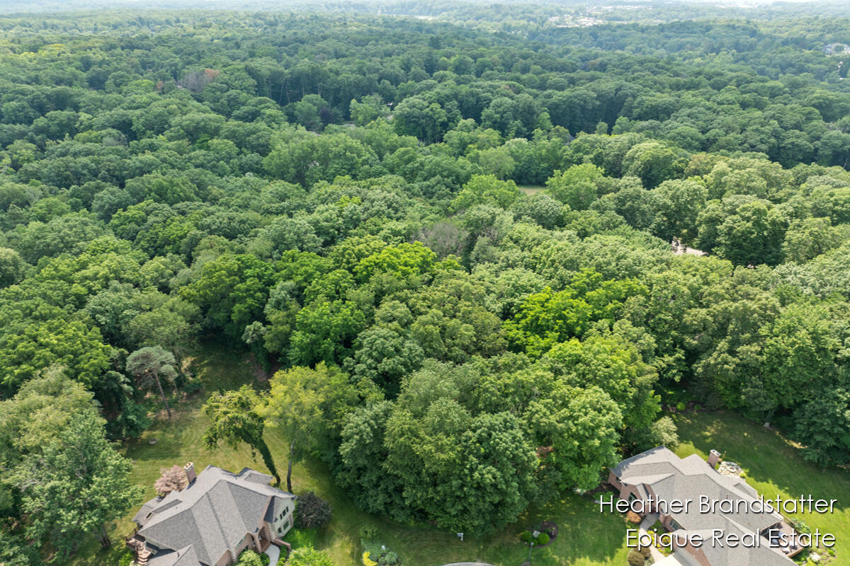 Homes for sale in Ada, MI | 7670 Wood Violet Ct, Ada, MI 49301 | MLS# 70513731