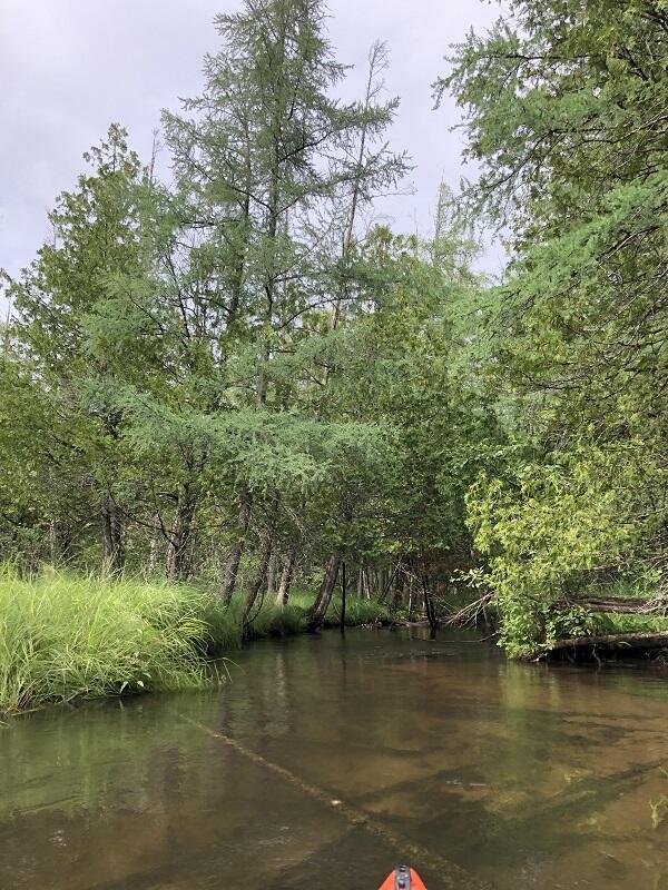 Homes for sale in Atlanta, MI | River Rd, Atlanta, MI 49709 | MLS# 70513737