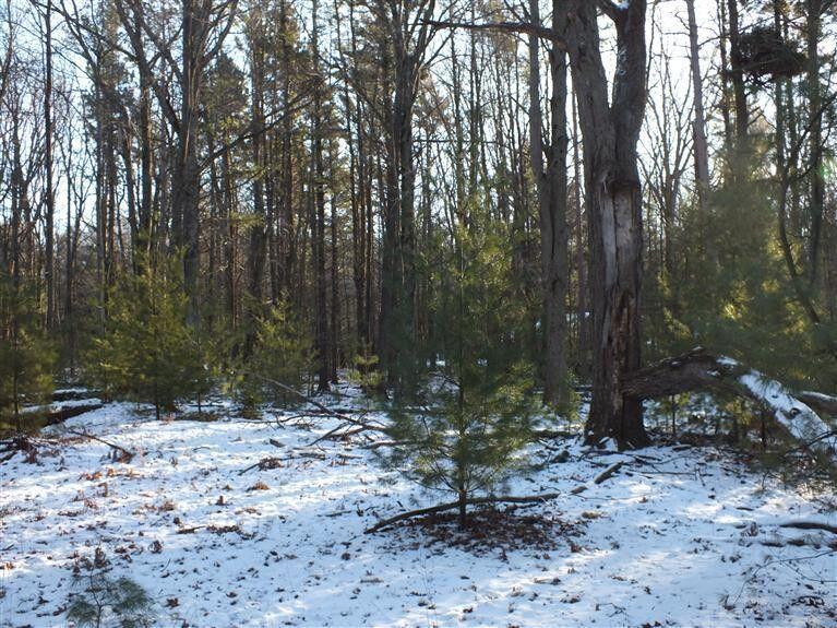 704 N Morris Street, Pentwater, MI, 49449-9544