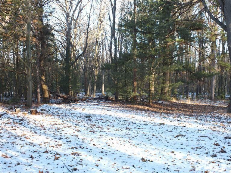 704 N Morris Street, Pentwater, MI, 49449-9544