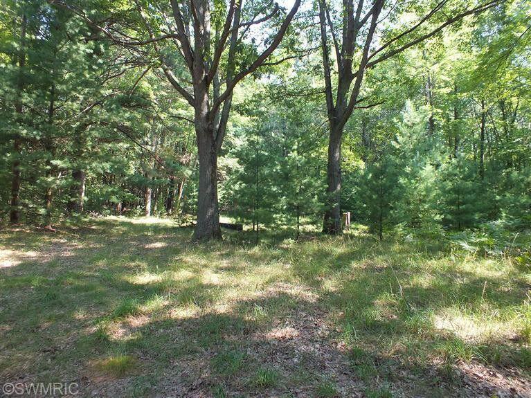 704 N Morris Street, Pentwater, MI, 49449-9544