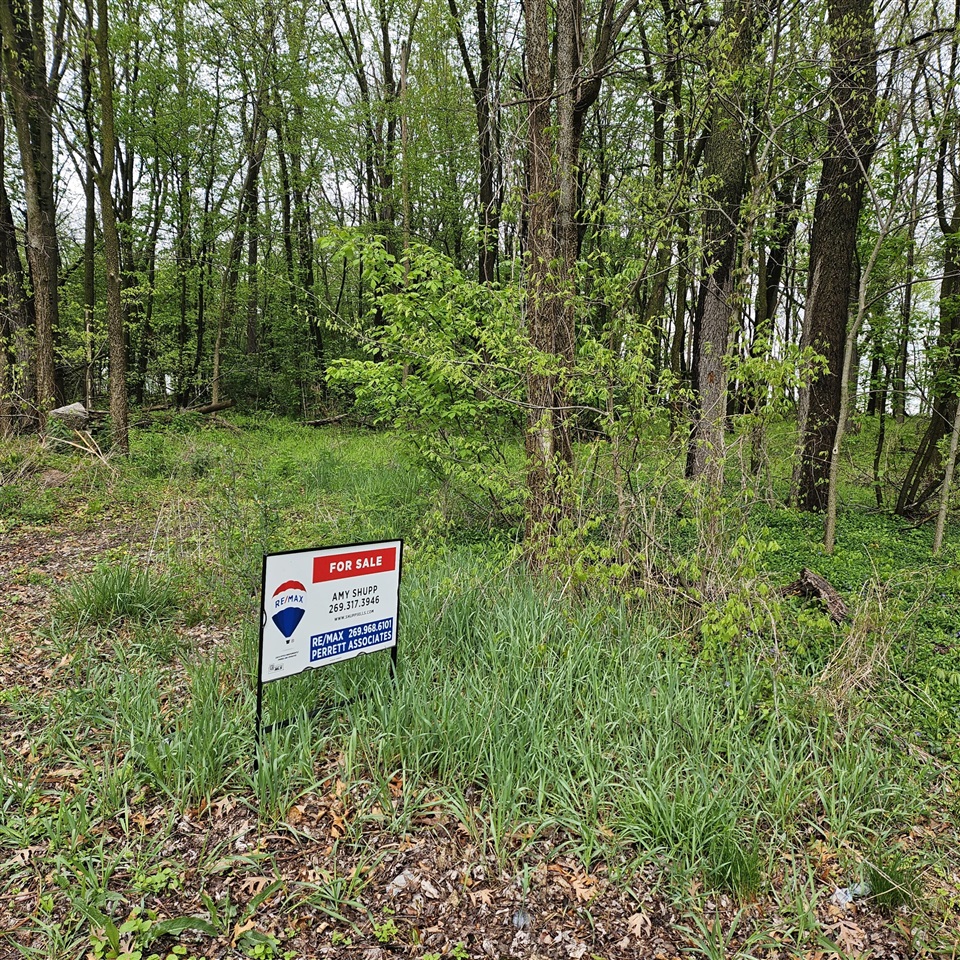 Photo of property for sale at Rook Street, Battle Creek MI 49014