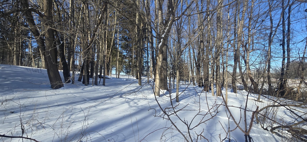 Homes for sale in Delton, MI | 11575 Floria Rd, Delton, MI 49046 | MLS# 70513836