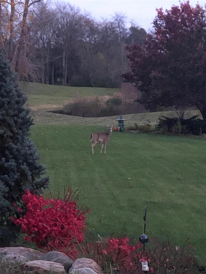 1335 N Silo Ridge Drive, Ann Arbor, MI, 48108-9575