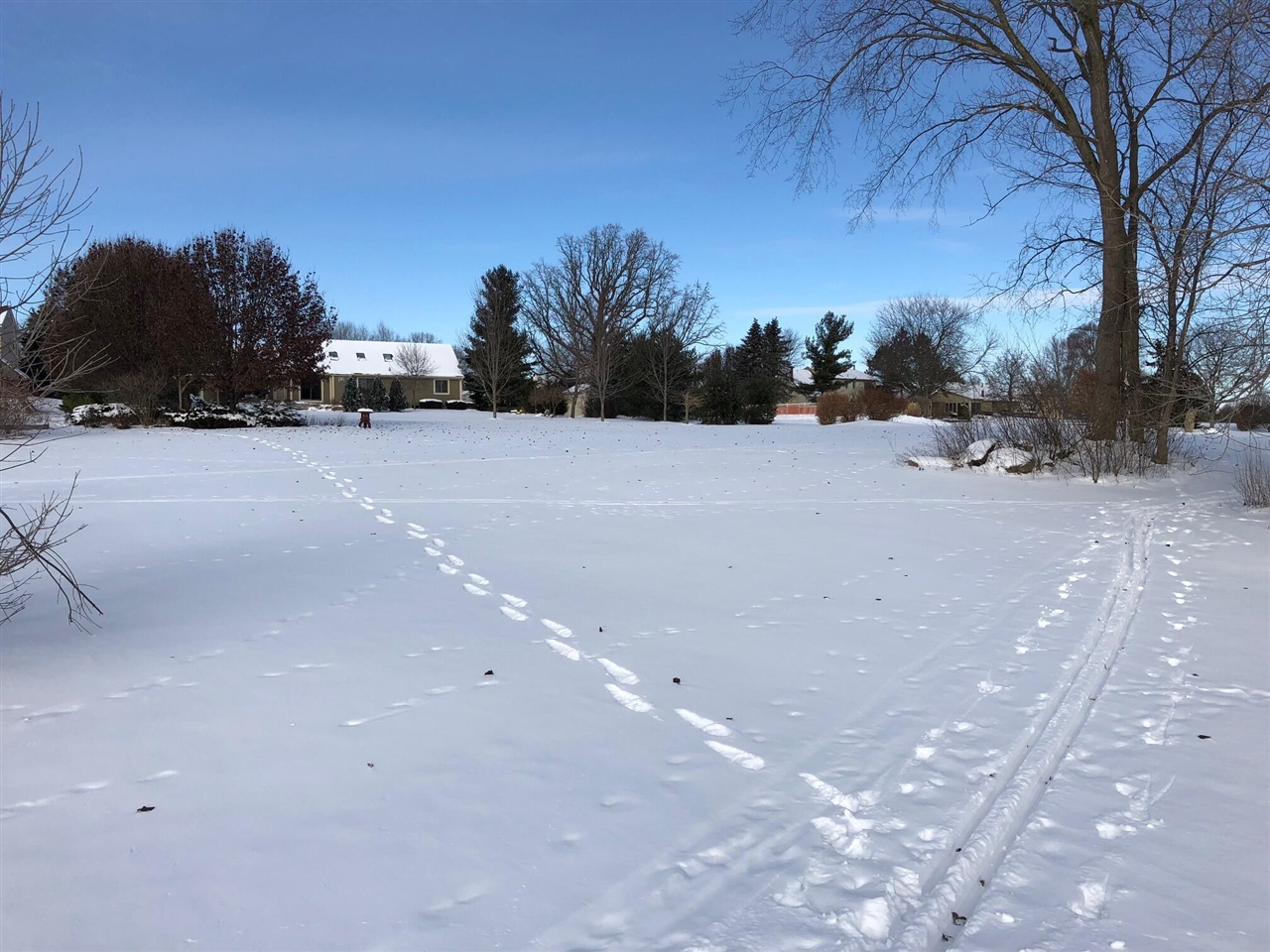 1335 N Silo Ridge Drive, Ann Arbor, MI, 48108-9575