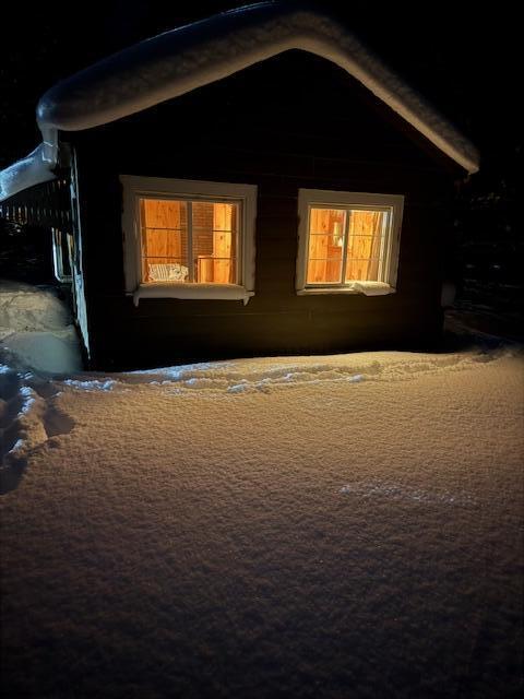 Homes for sale in Luther, MI | 5286 N Twin Creek Rd, Luther, MI 49656 | MLS# 70513961