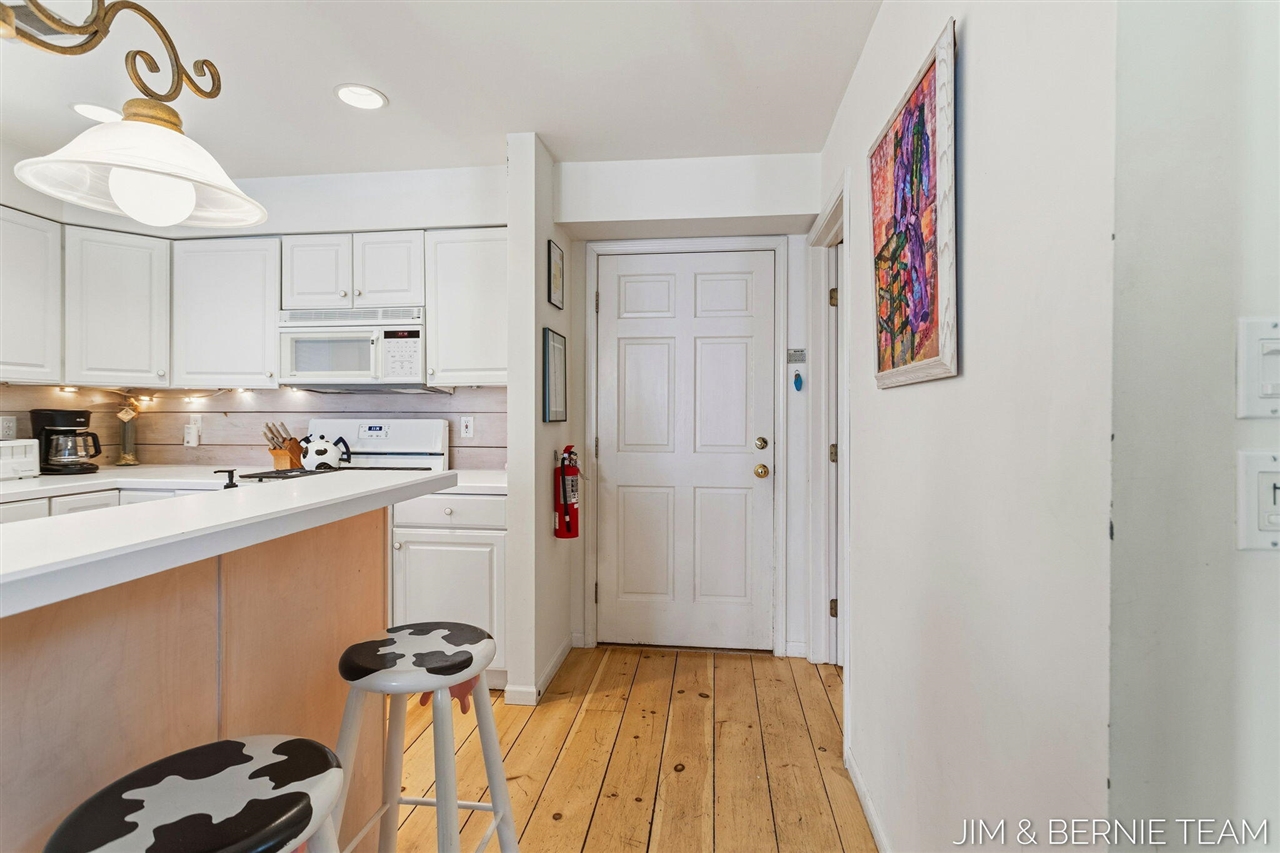 133 Mason Street, Saugatuck, MI, 49453