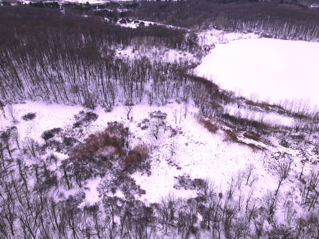 Homes for sale in De Witt, MI | E Howe Rd, De Witt, MI 48820 | MLS# 70513994