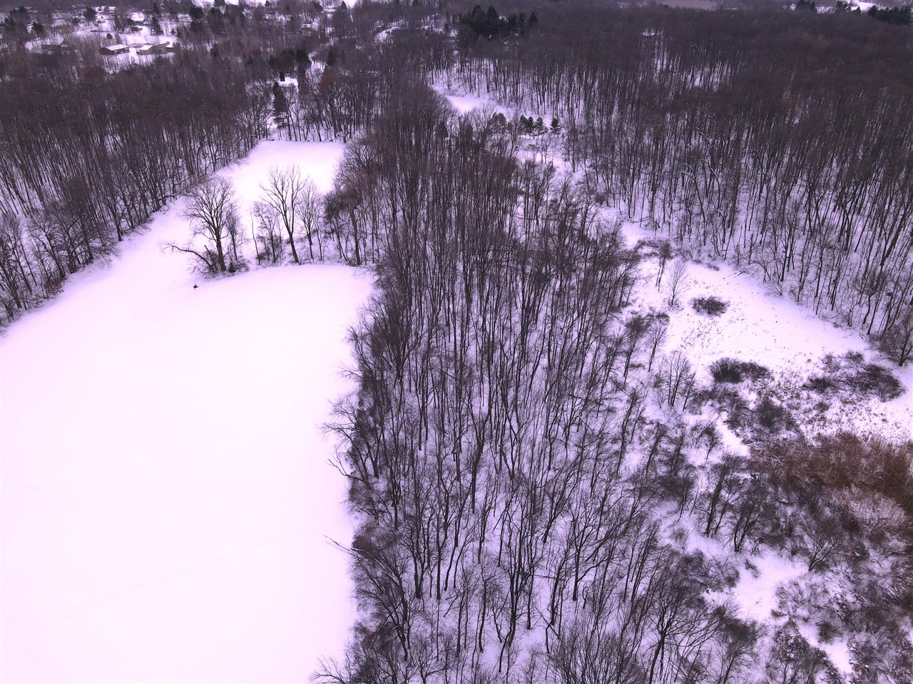 Homes for sale in De Witt, MI | E Howe Rd, De Witt, MI 48820 | MLS# 70513994