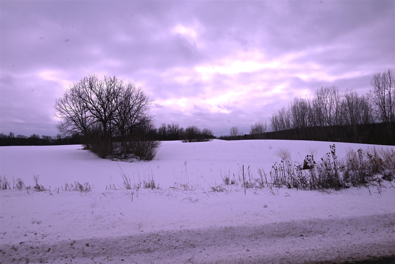 Homes for sale in De Witt, MI | E Howe Rd, De Witt, MI 48820 | MLS# 70513994