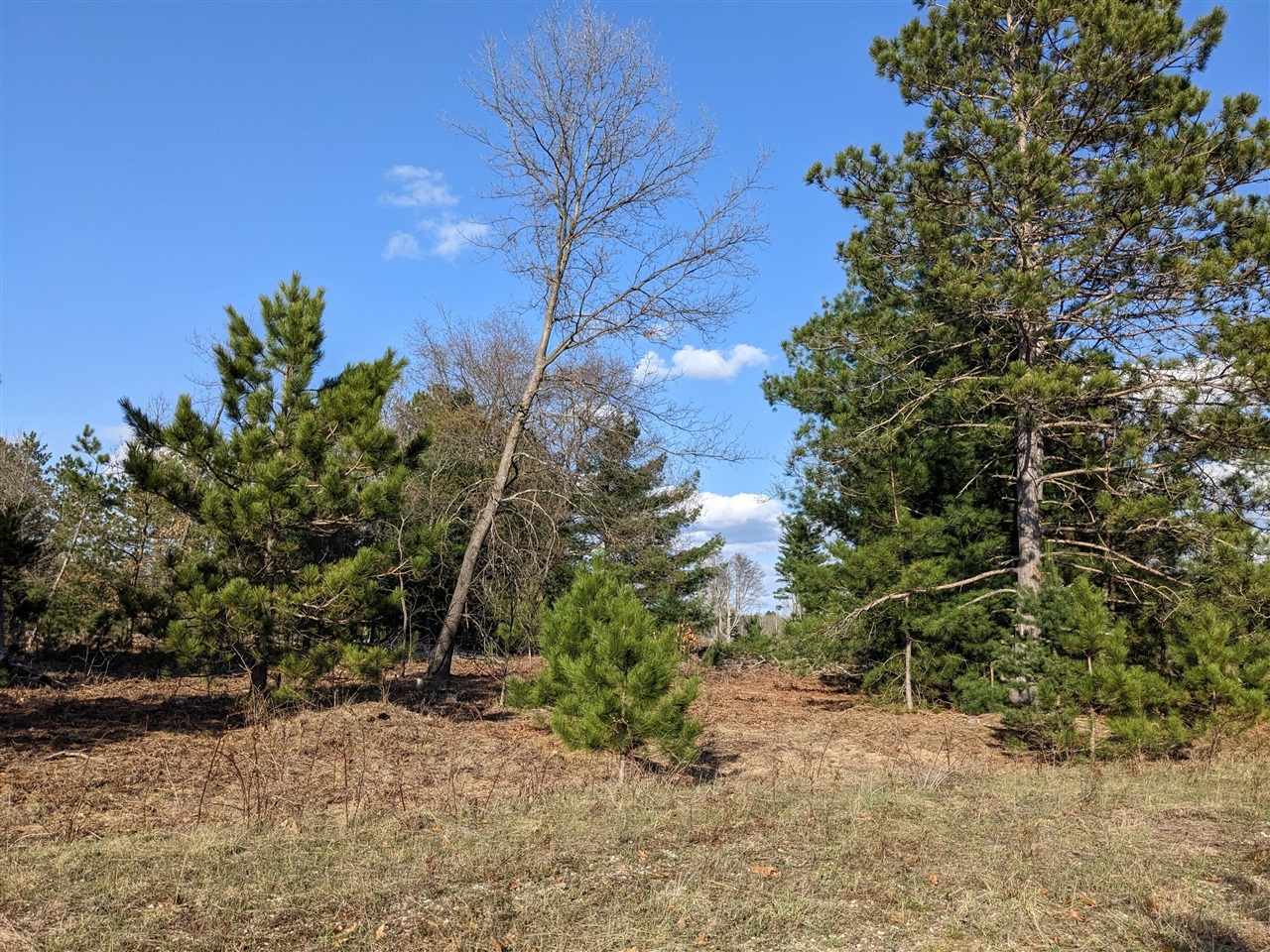 Photo of property for sale at Louhi Street, Kaleva MI 49645
