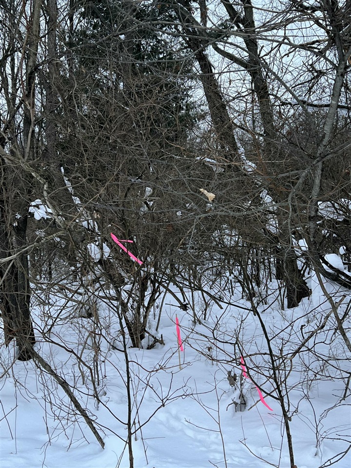 Homes for sale in Niles, MI | 0 S 15Th St, Niles, MI 49120 | MLS# 70514177