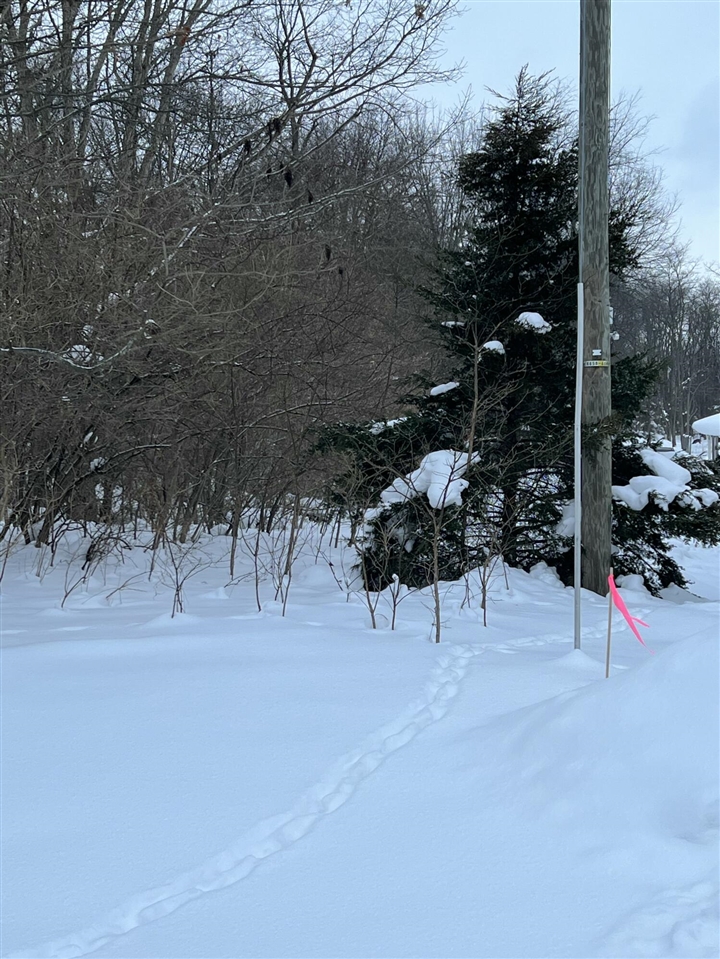 Homes for sale in Niles, MI | 0 S 15th St, Niles, MI 49120 | MLS# 70514177