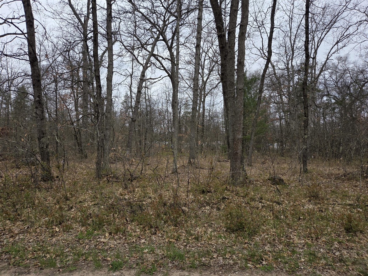 3rd image of V/L S Harvard Ave, Baldwin, MI 49304 | MLS# 70514184