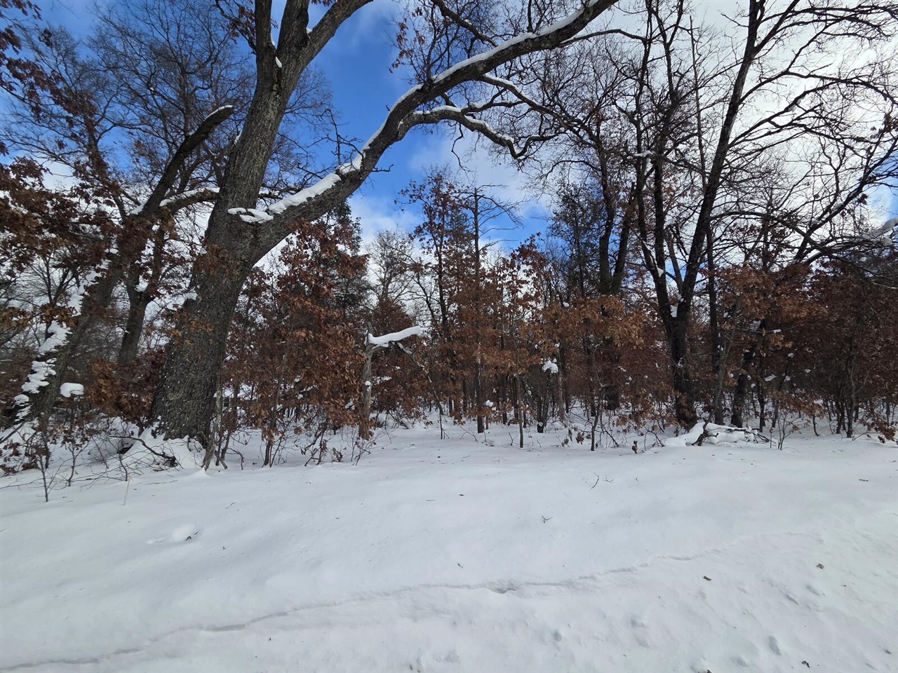 5th image of V/L S Harvard Ave, Baldwin, MI 49304 | MLS# 70514184