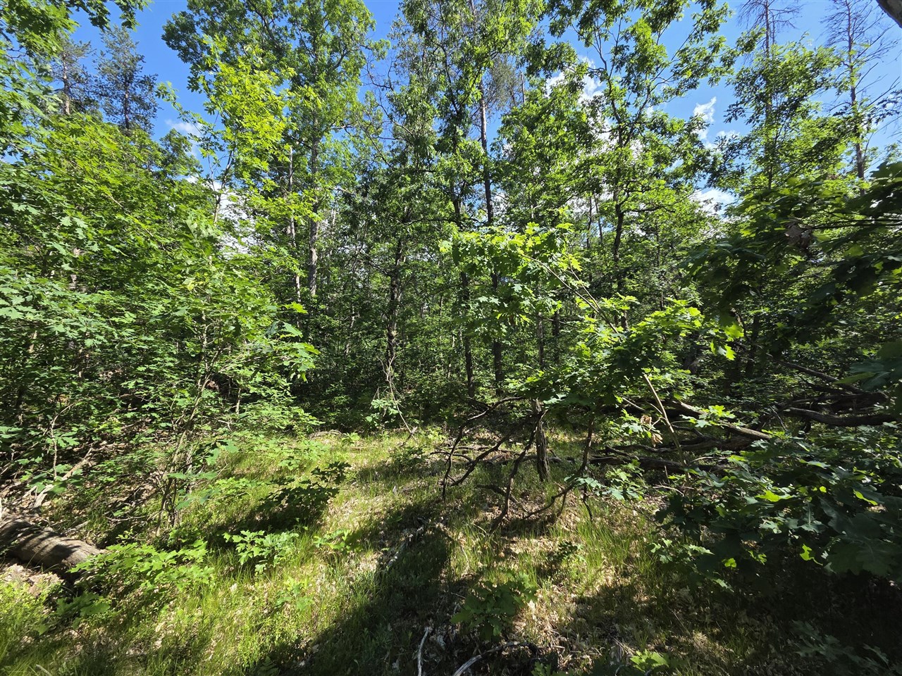 3rd image of V/L S Astor Rd, Baldwin, MI 49304 | MLS# 70514187