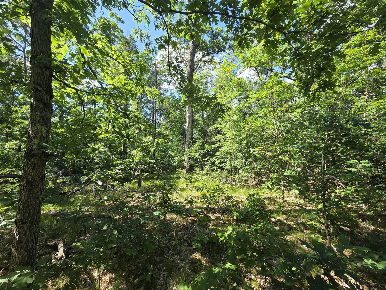 4th image of V/L S Astor Rd, Baldwin, MI 49304 | MLS# 70514187