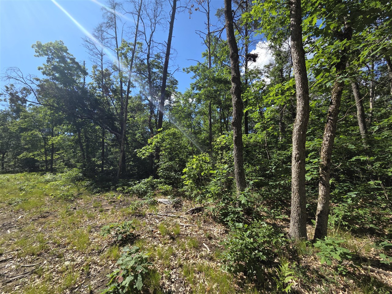 5th image of V/L S Astor Rd, Baldwin, MI 49304 | MLS# 70514187
