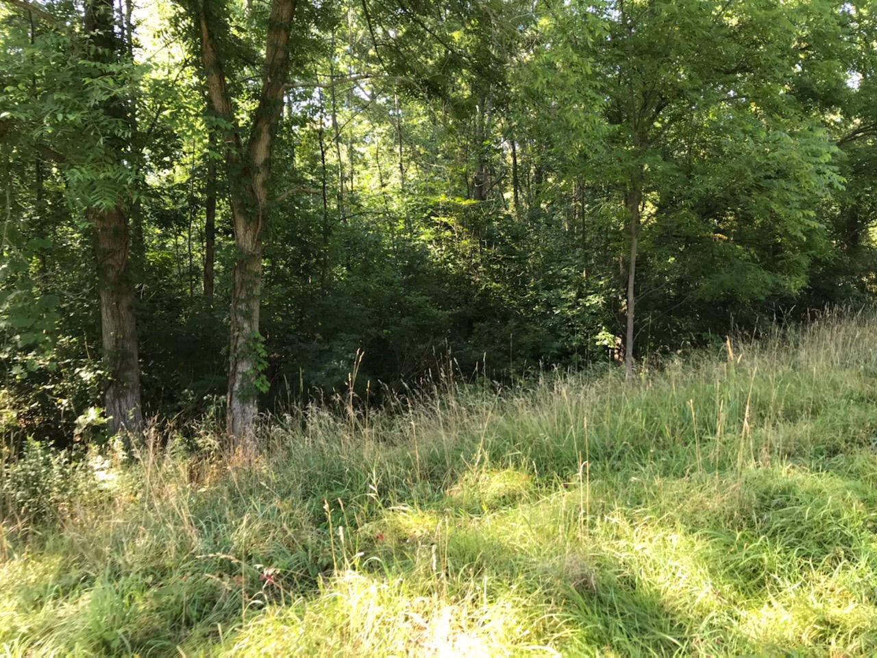 6300 Prairie Street, Norton Shores, MI, 49444