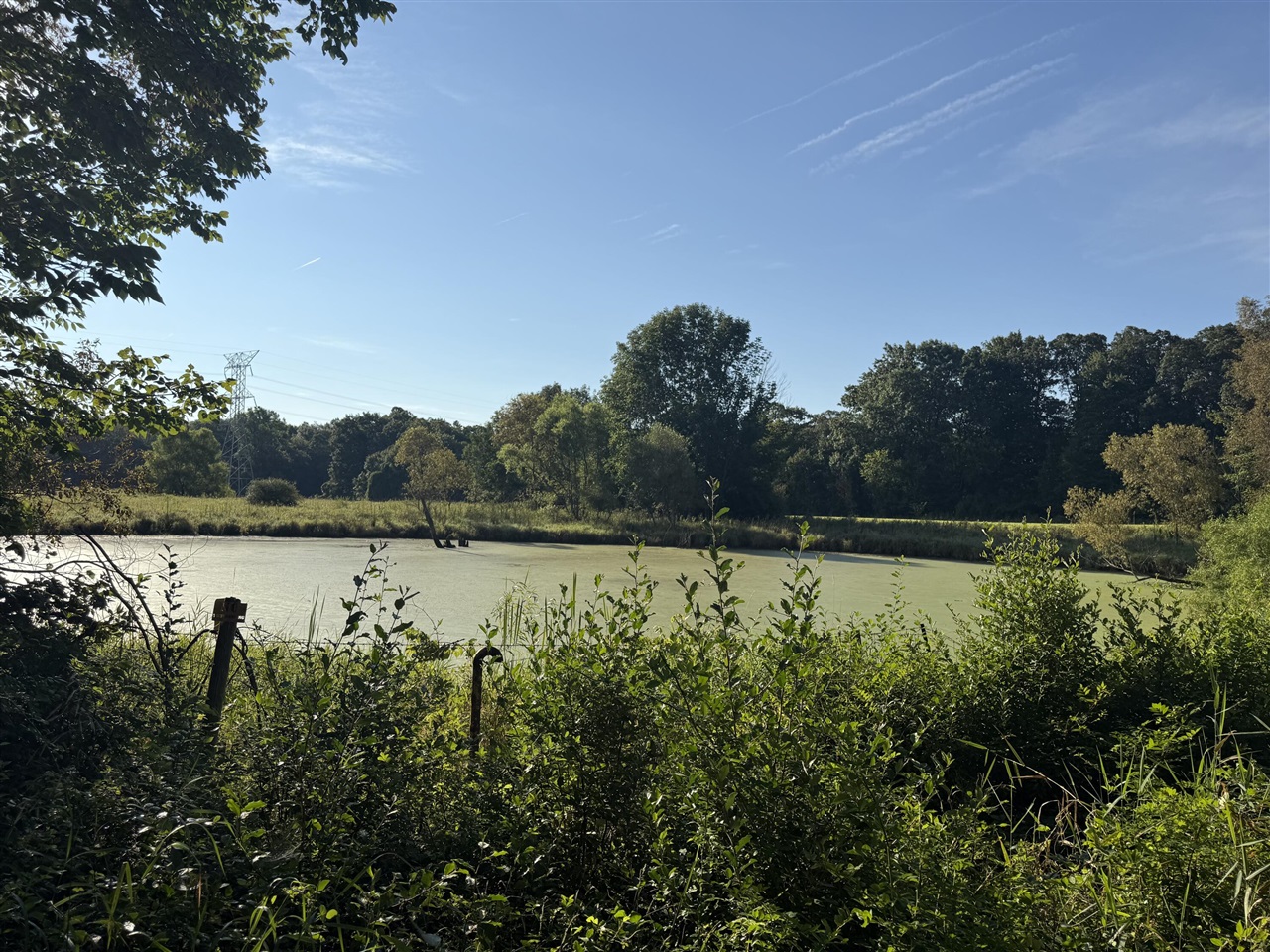 Homes for sale in Leonard, MI | Tbd Bordman Rd, Leonard, MI 48367 | MLS# 70514239